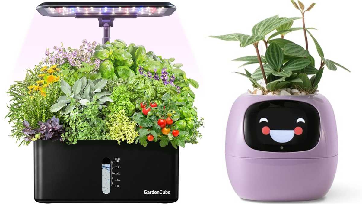 Home Gardening