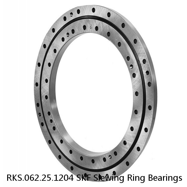 RKS.062.25.1204 SKF Slewing Ring Bearings