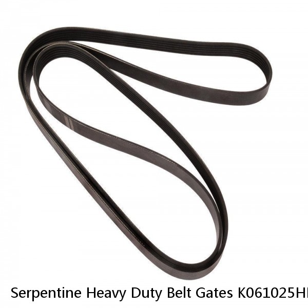 Serpentine Heavy Duty Belt Gates K061025HD Ford Explorer Sport Trac 4.6 V8 