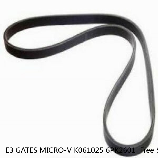 E3 GATES MICRO-V K061025 6PK2601  Free Shipping