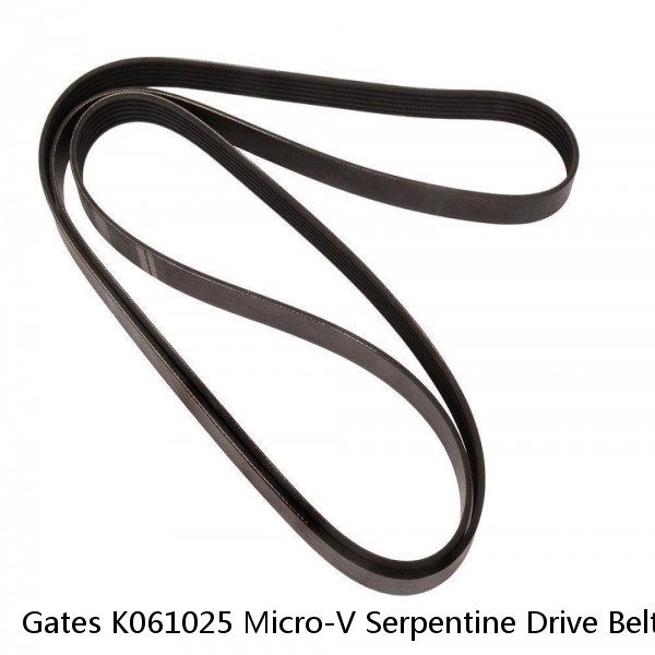 Gates K061025 Micro-V Serpentine Drive Belt