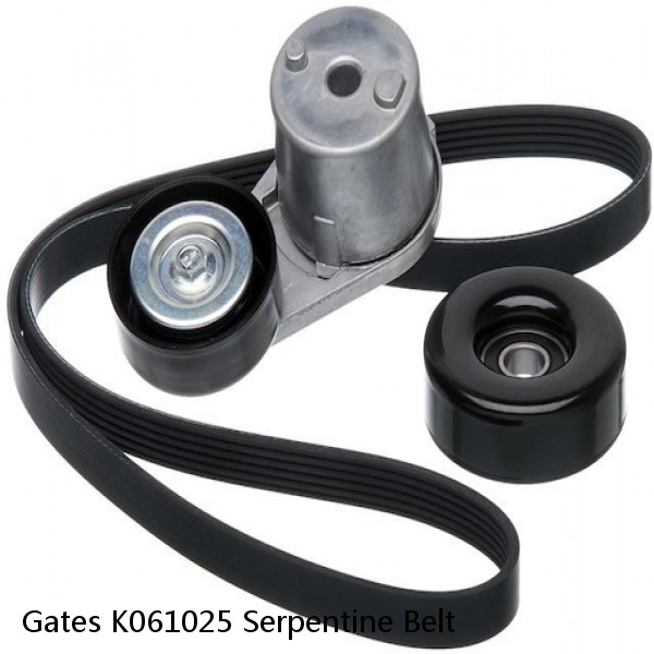 Gates K061025 Serpentine Belt