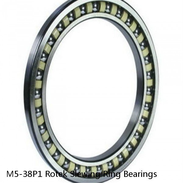 M5-38P1 Rotek Slewing Ring Bearings