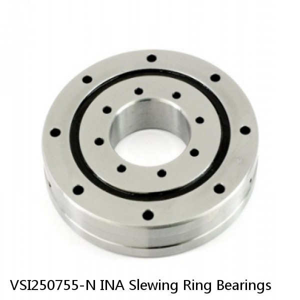 VSI250755-N INA Slewing Ring Bearings