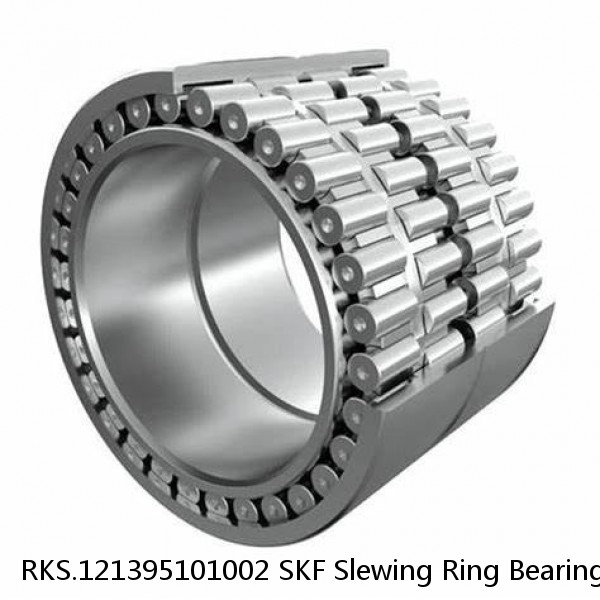 RKS.121395101002 SKF Slewing Ring Bearings