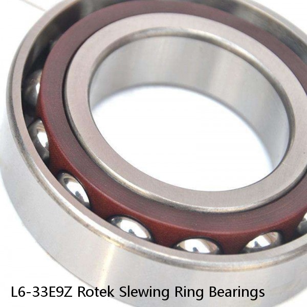 L6-33E9Z Rotek Slewing Ring Bearings