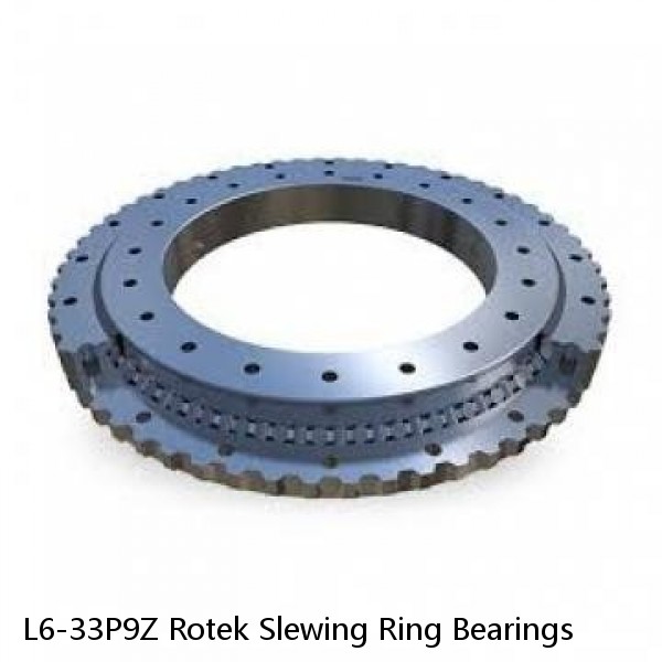 L6-33P9Z Rotek Slewing Ring Bearings