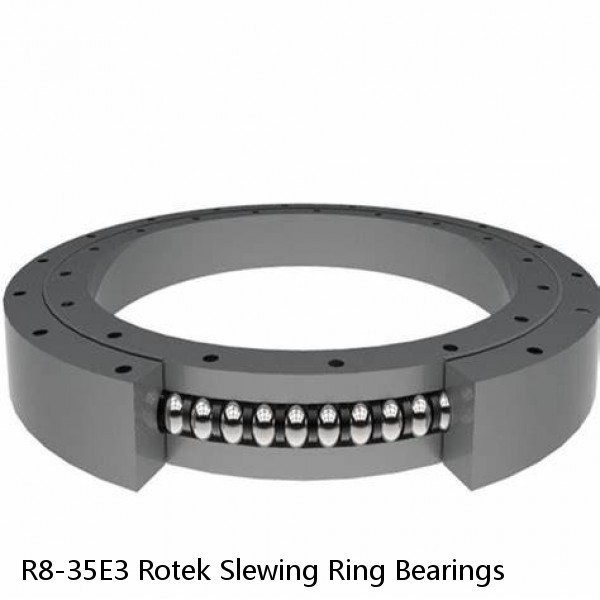 R8-35E3 Rotek Slewing Ring Bearings