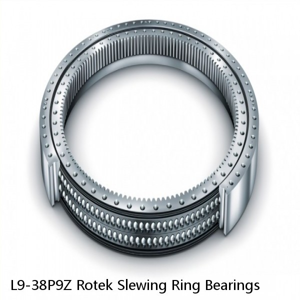 L9-38P9Z Rotek Slewing Ring Bearings