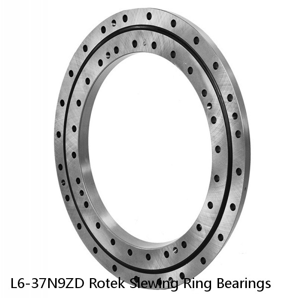 L6-37N9ZD Rotek Slewing Ring Bearings