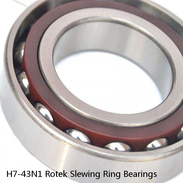 H7-43N1 Rotek Slewing Ring Bearings