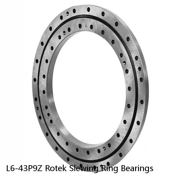 L6-43P9Z Rotek Slewing Ring Bearings