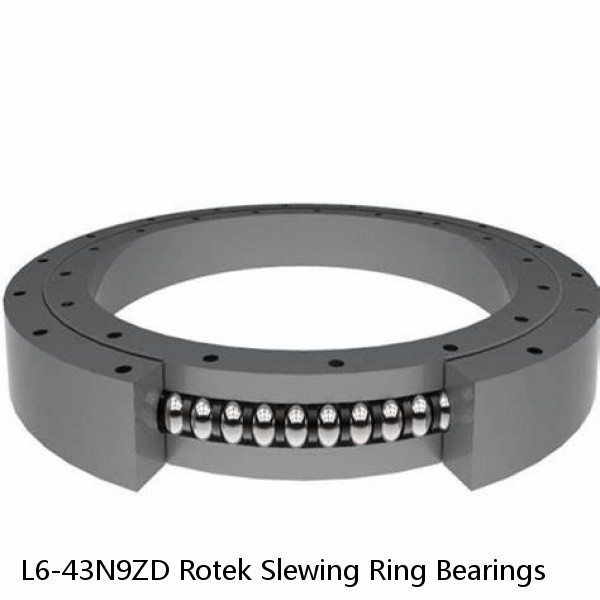 L6-43N9ZD Rotek Slewing Ring Bearings