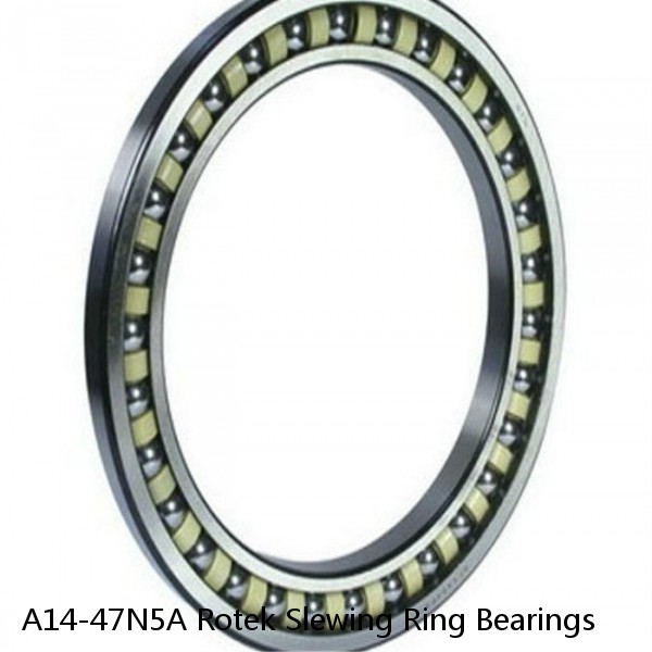 A14-47N5A Rotek Slewing Ring Bearings