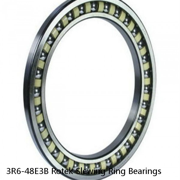 3R6-48E3B Rotek Slewing Ring Bearings