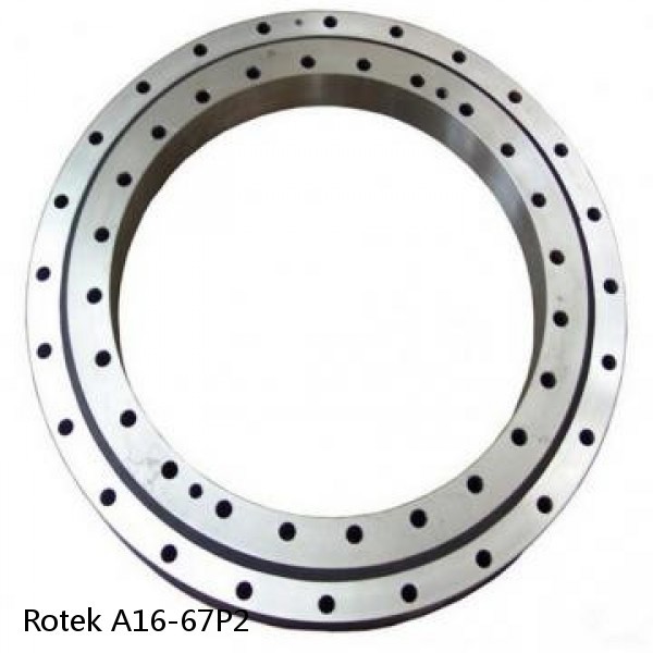 A16-67P2 Rotek Slewing Ring Bearings