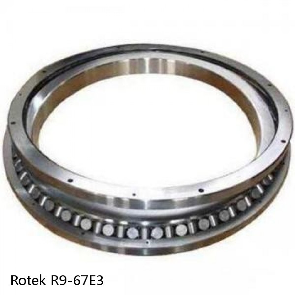 R9-67E3 Rotek Slewing Ring Bearings