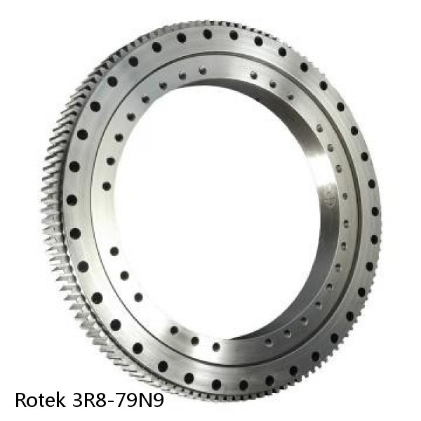 3R8-79N9 Rotek Slewing Ring Bearings