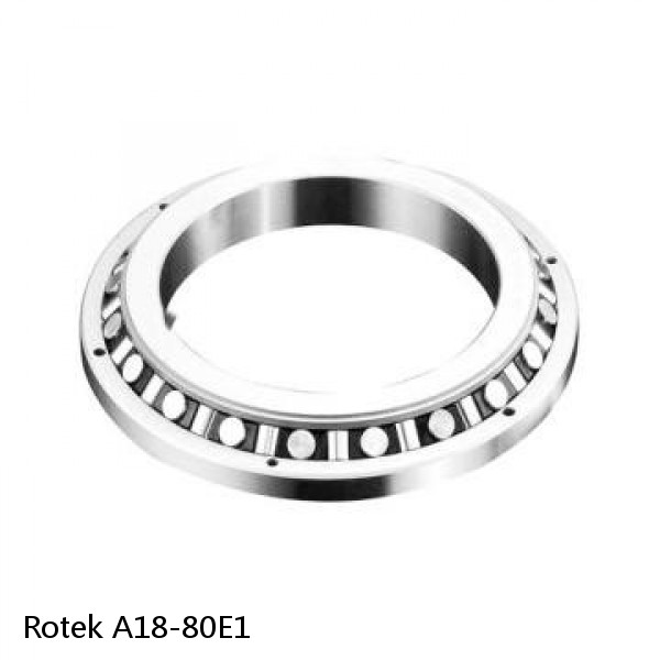 A18-80E1 Rotek Slewing Ring Bearings