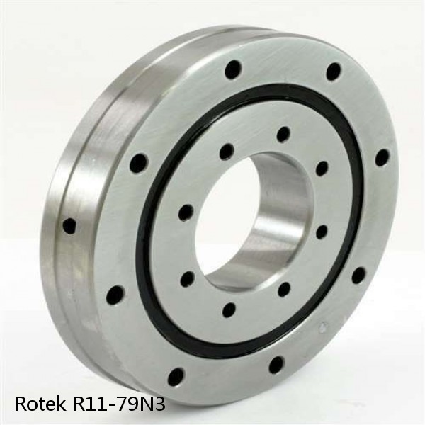 R11-79N3 Rotek Slewing Ring Bearings