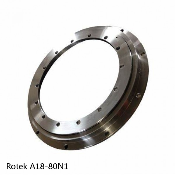 A18-80N1 Rotek Slewing Ring Bearings