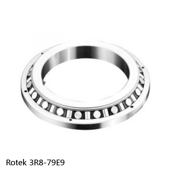 3R8-79E9 Rotek Slewing Ring Bearings