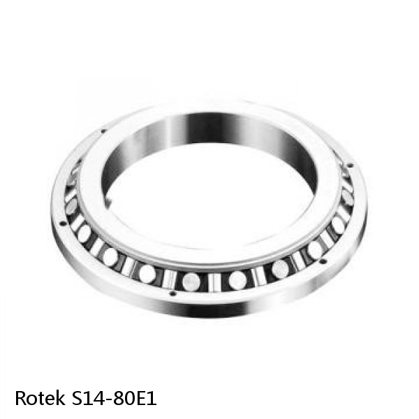 S14-80E1 Rotek Slewing Ring Bearings