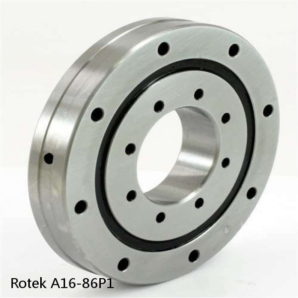 A16-86P1 Rotek Slewing Ring Bearings