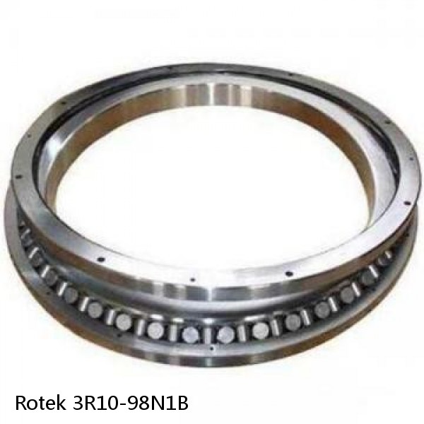 3R10-98N1B Rotek Slewing Ring Bearings