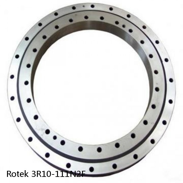 3R10-111N2F Rotek Slewing Ring Bearings