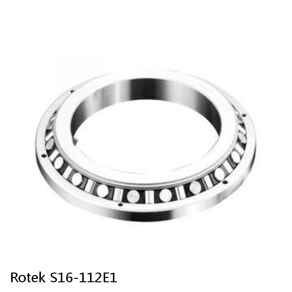 S16-112E1 Rotek Slewing Ring Bearings