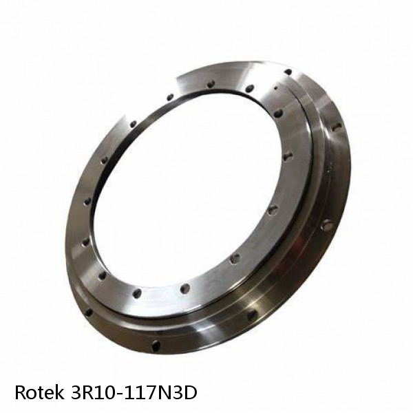 3R10-117N3D Rotek Slewing Ring Bearings