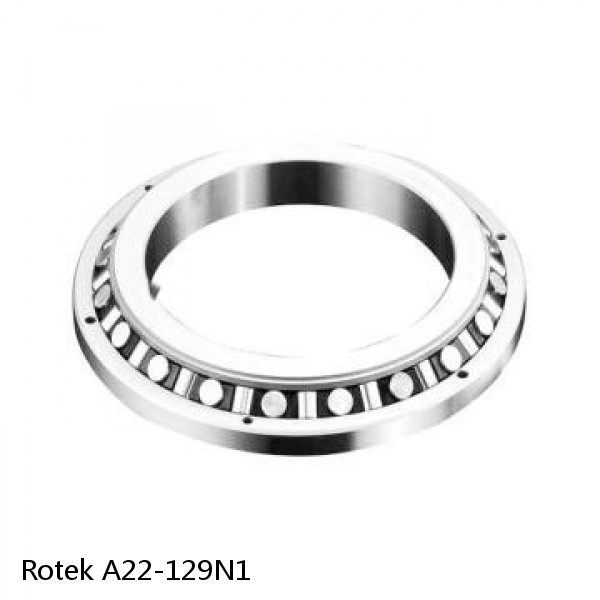 A22-129N1 Rotek Slewing Ring Bearings