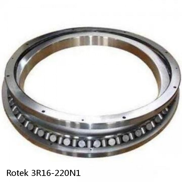 3R16-220N1 Rotek Slewing Ring Bearings