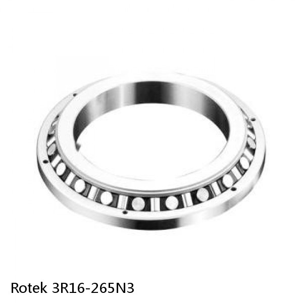 3R16-265N3 Rotek Slewing Ring Bearings