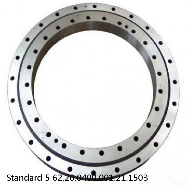 62.20.0400.001.21.1503 Standard 5 Slewing Ring Bearings