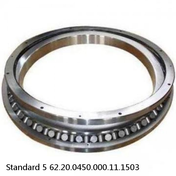 62.20.0450.000.11.1503 Standard 5 Slewing Ring Bearings