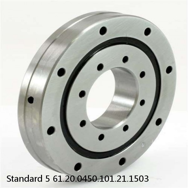 61.20.0450.101.21.1503 Standard 5 Slewing Ring Bearings