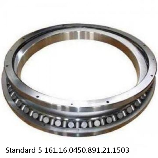 161.16.0450.891.21.1503 Standard 5 Slewing Ring Bearings