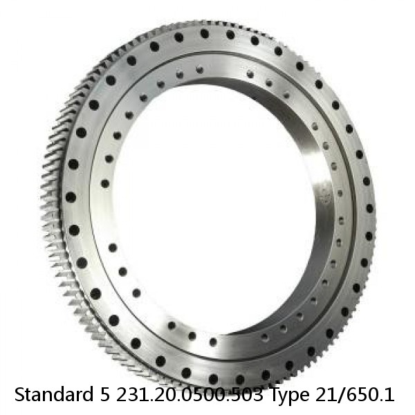 231.20.0500.503 Type 21/650.1 Standard 5 Slewing Ring Bearings