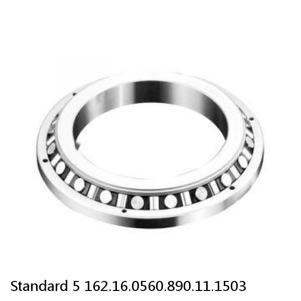 162.16.0560.890.11.1503 Standard 5 Slewing Ring Bearings