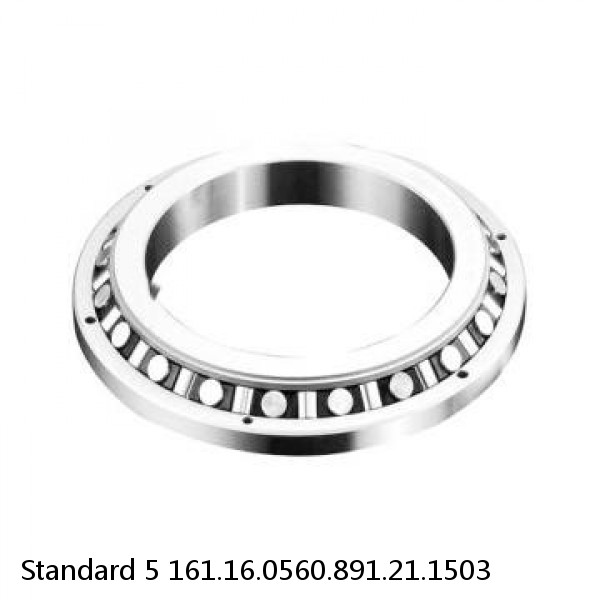 161.16.0560.891.21.1503 Standard 5 Slewing Ring Bearings