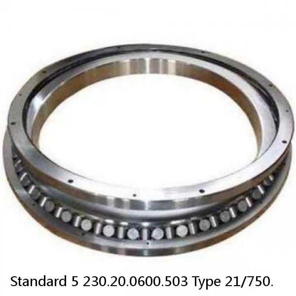 230.20.0600.503 Type 21/750. Standard 5 Slewing Ring Bearings