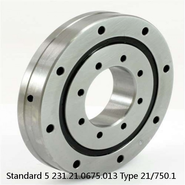 231.21.0675.013 Type 21/750.1 Standard 5 Slewing Ring Bearings