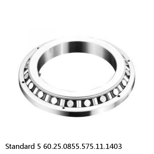 60.25.0855.575.11.1403 Standard 5 Slewing Ring Bearings