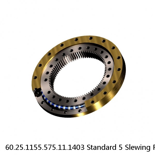 60.25.1155.575.11.1403 Standard 5 Slewing Ring Bearings