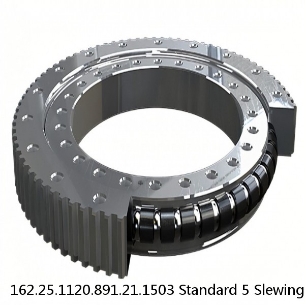 162.25.1120.891.21.1503 Standard 5 Slewing Ring Bearings