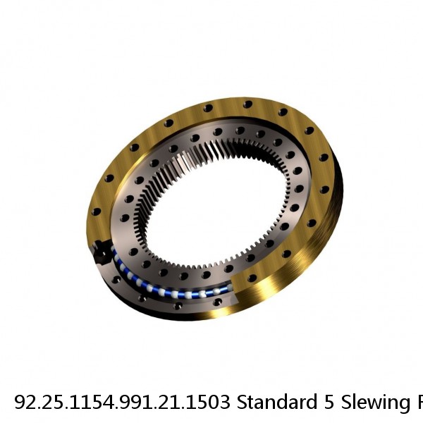 92.25.1154.991.21.1503 Standard 5 Slewing Ring Bearings