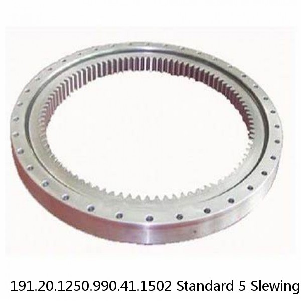 191.20.1250.990.41.1502 Standard 5 Slewing Ring Bearings