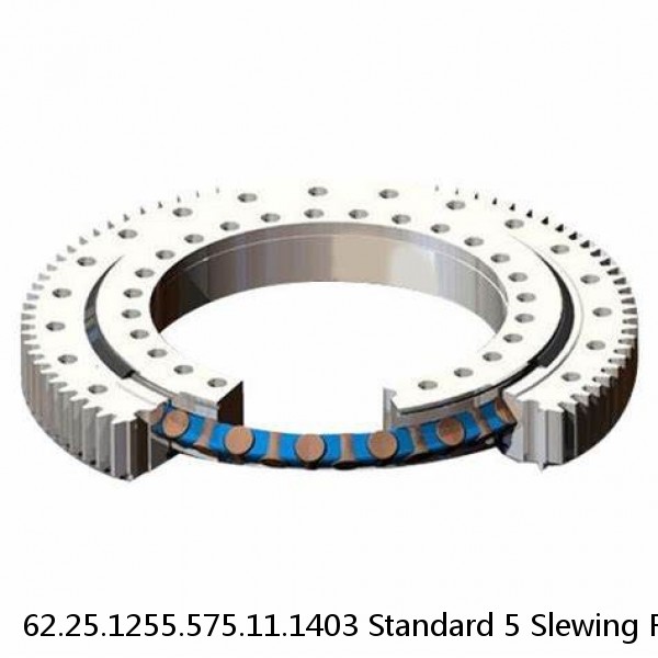 62.25.1255.575.11.1403 Standard 5 Slewing Ring Bearings